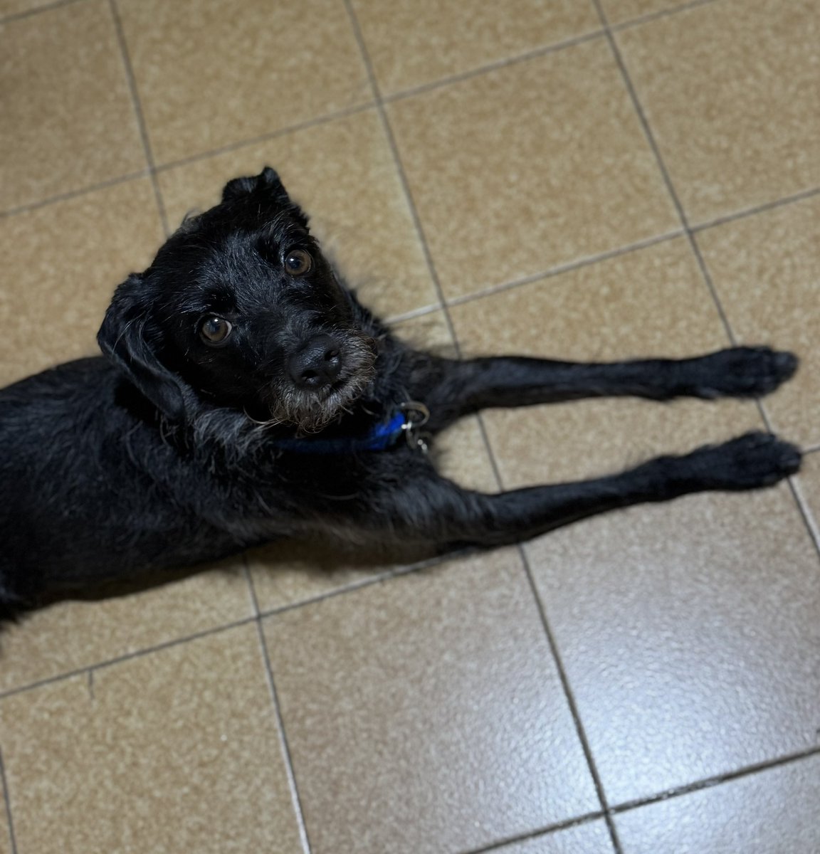 @LolaLola2Lo🌸✈️ tweet media