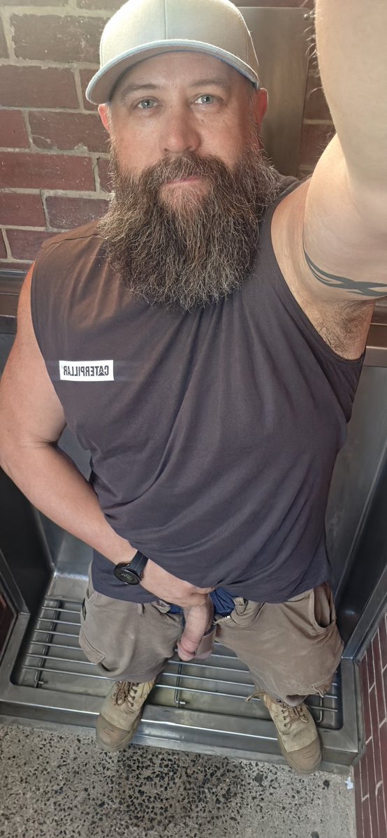 Tradie battle-kitty tweet media