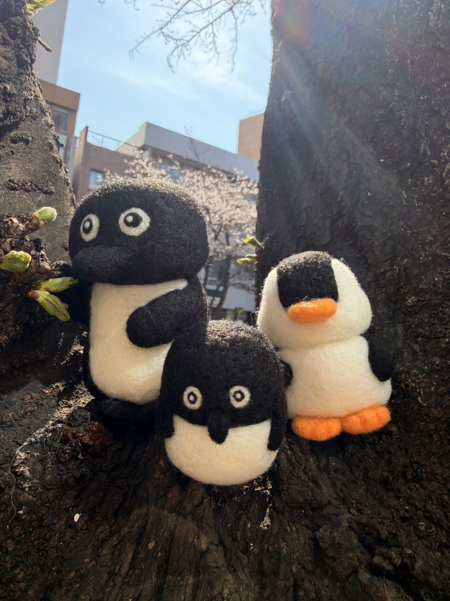 【ISO審査認証機関】ペリージョンソン ホールディング株式会社 tweet media