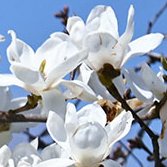 samzairu tweet media