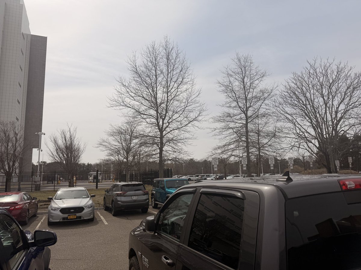 FelonHusky's tweet photo. @epaleezeldin What are you both doing about the daily poisoning of Americans?  This was today on Long Island by the federal court building... https://t.co/JxRu8e0wdI