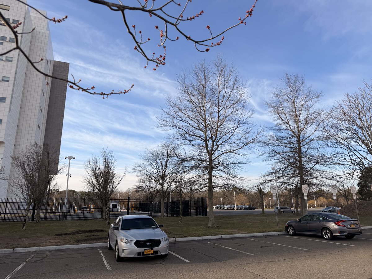 FelonHusky's tweet photo. @epaleezeldin What are you both doing about the daily poisoning of Americans?  This was today on Long Island by the federal court building... https://t.co/JxRu8e0wdI