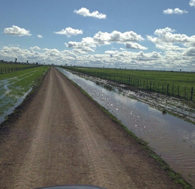 Diego Gauna tweet media