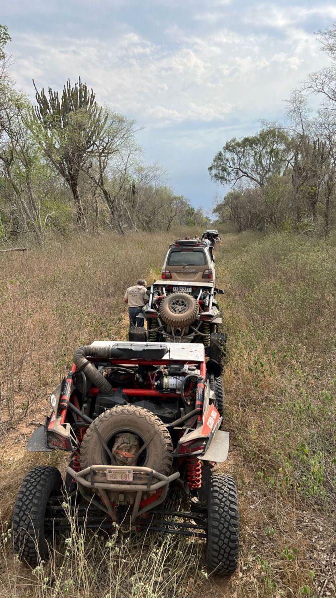 Diego Gauna tweet media