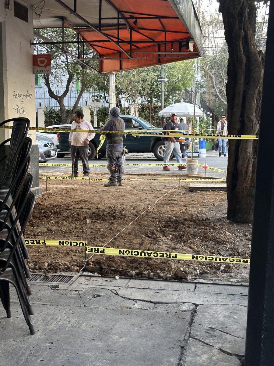 Condesa_Hipodromo Observando tweet media