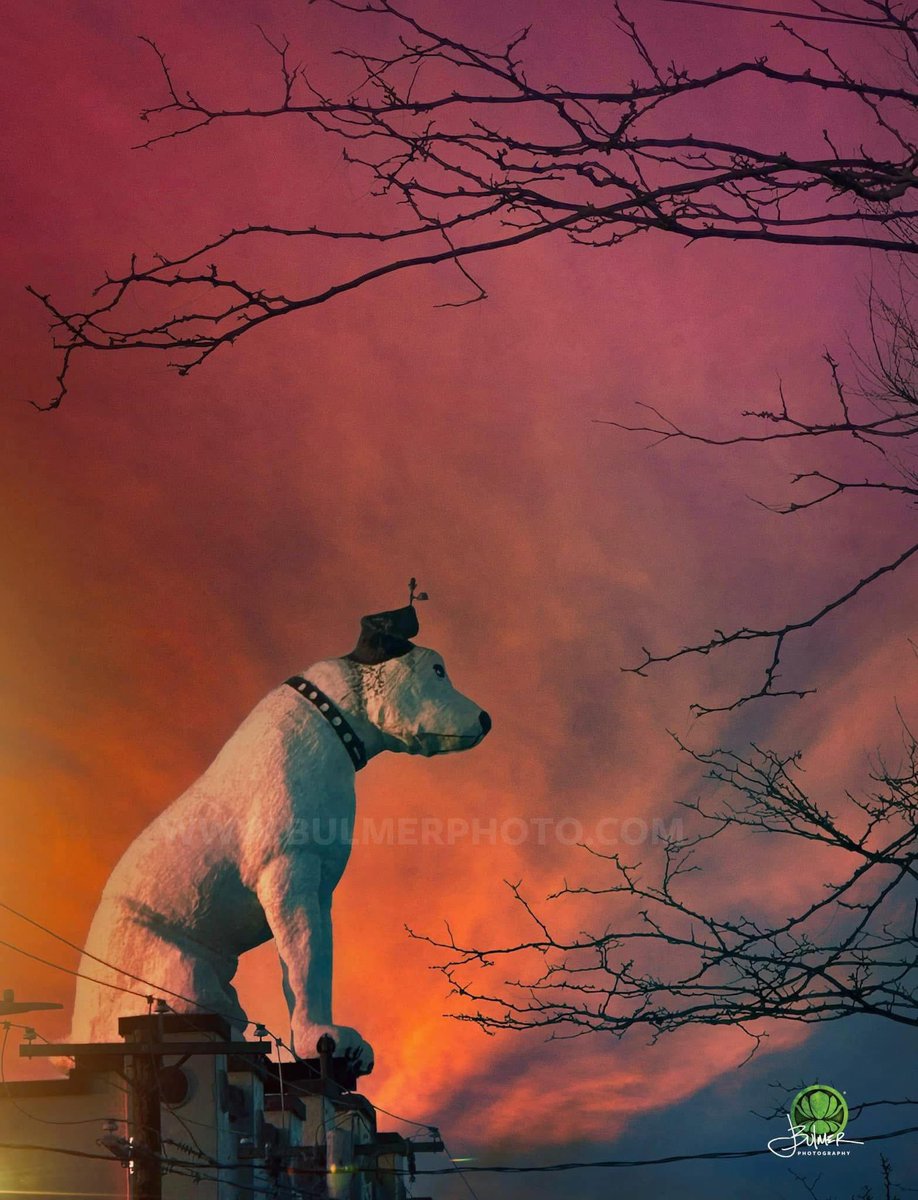 𝗝𝗼𝗵𝗻 𝗕𝘂𝗹𝗺𝗲𝗿 tweet media