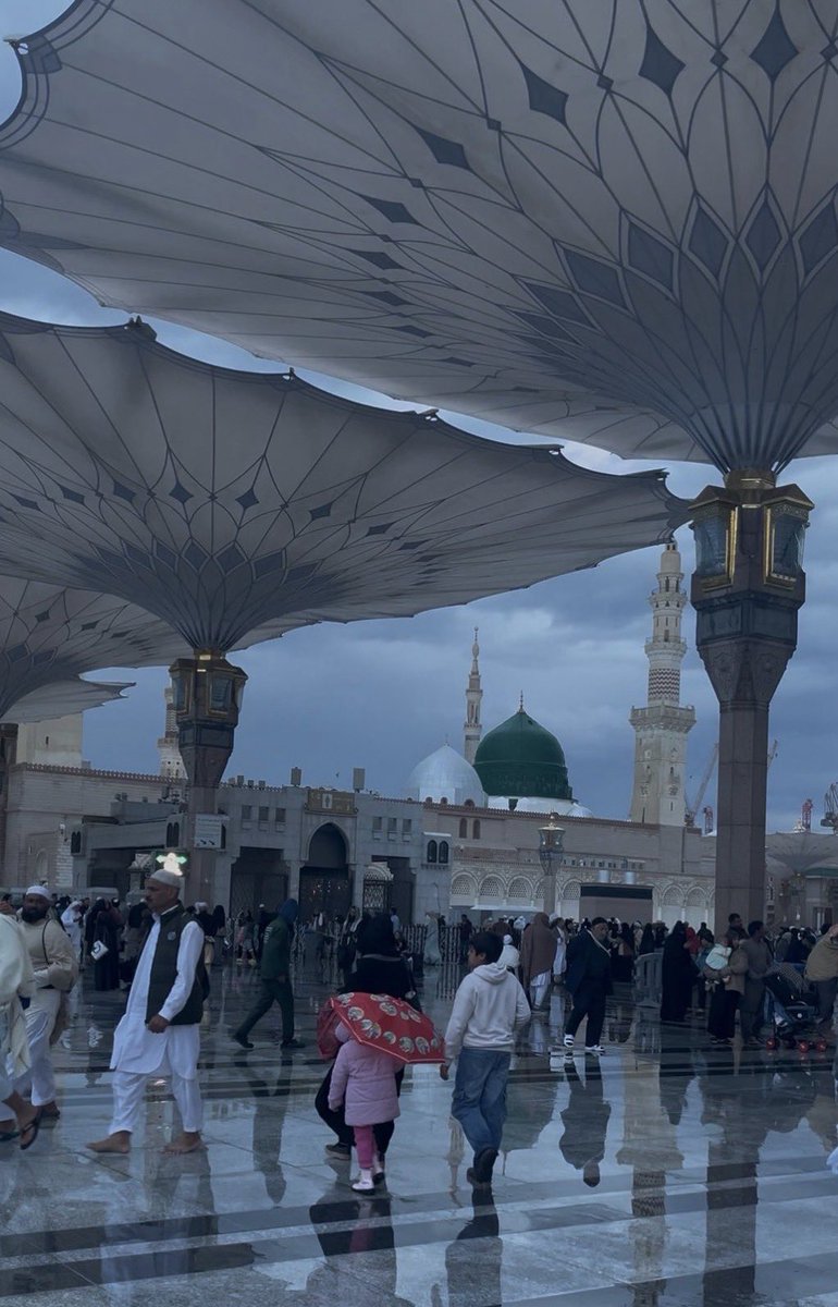 - إِبَـاءْ - tweet media