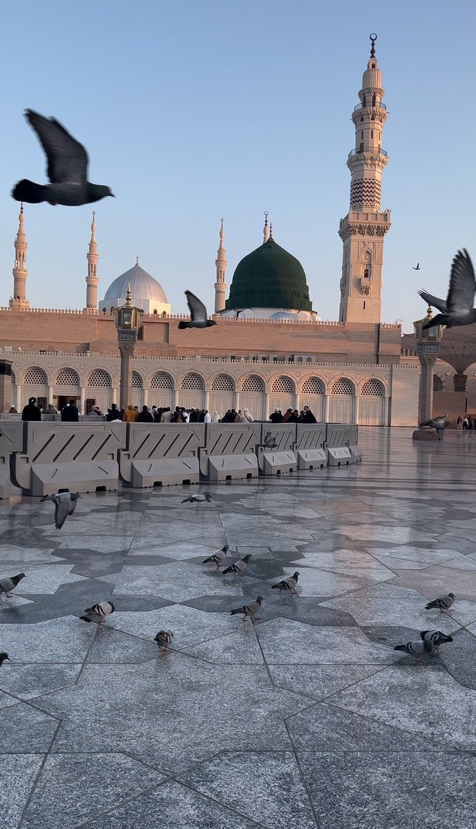 - إِبَـاءْ - tweet media