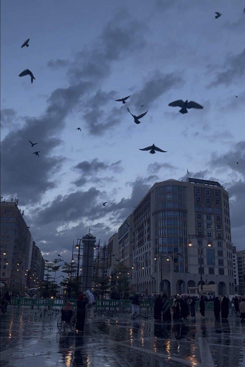 - إِبَـاءْ - tweet media