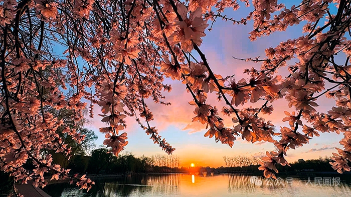 我们约会吧 tweet media