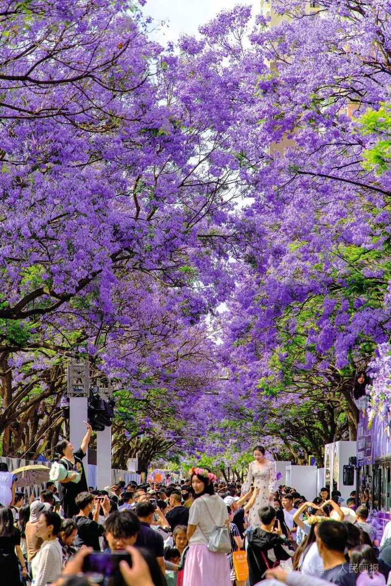 我们约会吧 tweet media