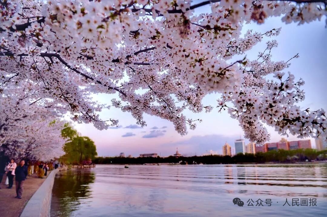 我们约会吧 tweet media