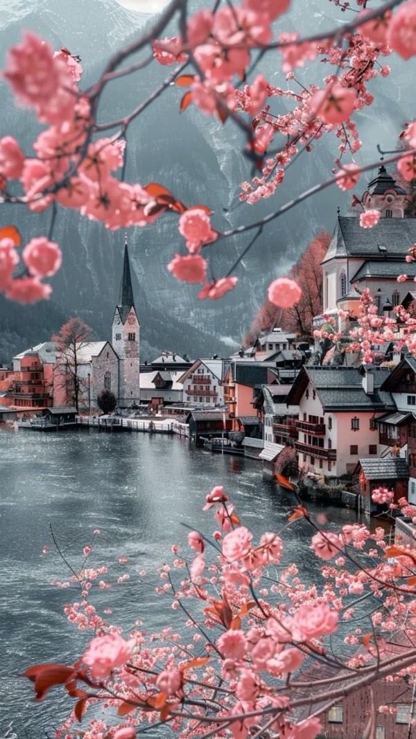 ROLLY 🗿 tweet media