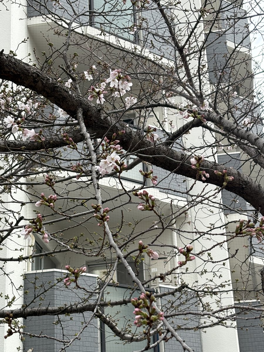 株式会社菱研エンジニアリング tweet media