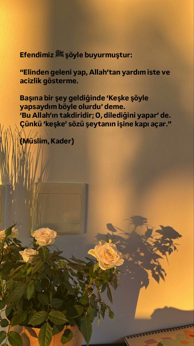 Rehnüma tweet media