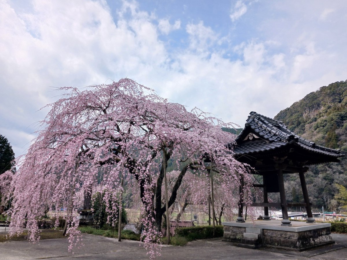 株式会社QCDクリエイト苅田 tweet media