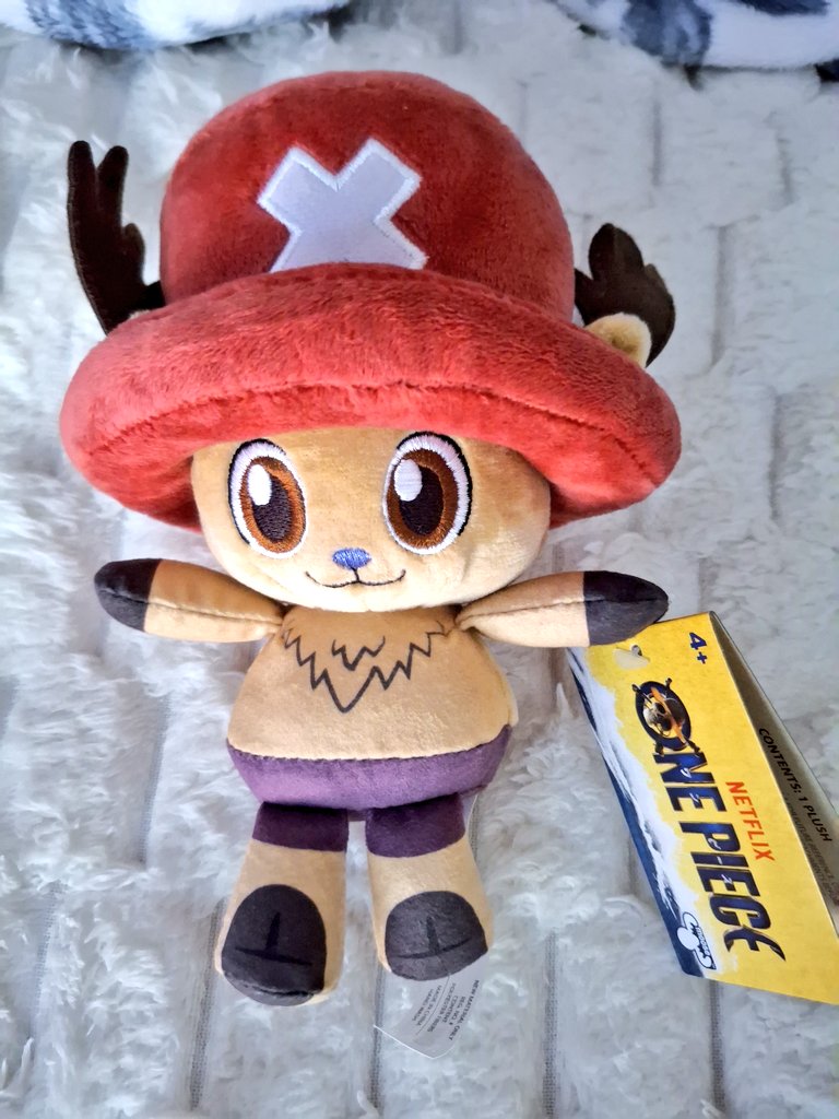 Alyssa Mireles tweet media