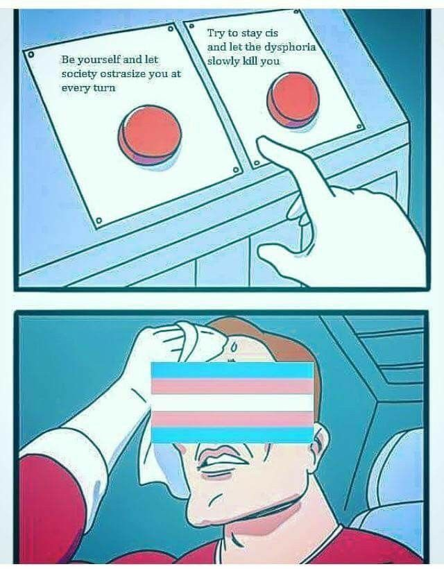 Shall 🏳️‍⚧️ tweet media