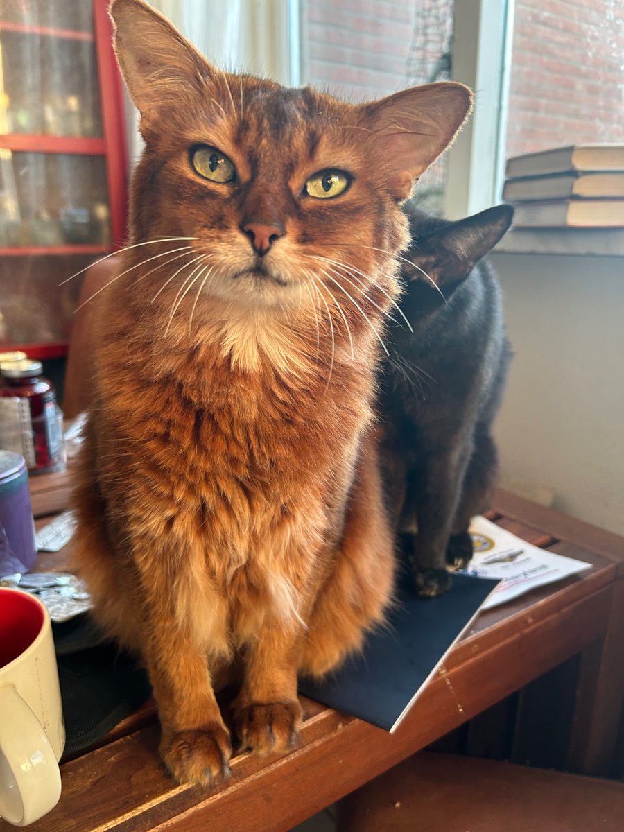 decathexis tweet media