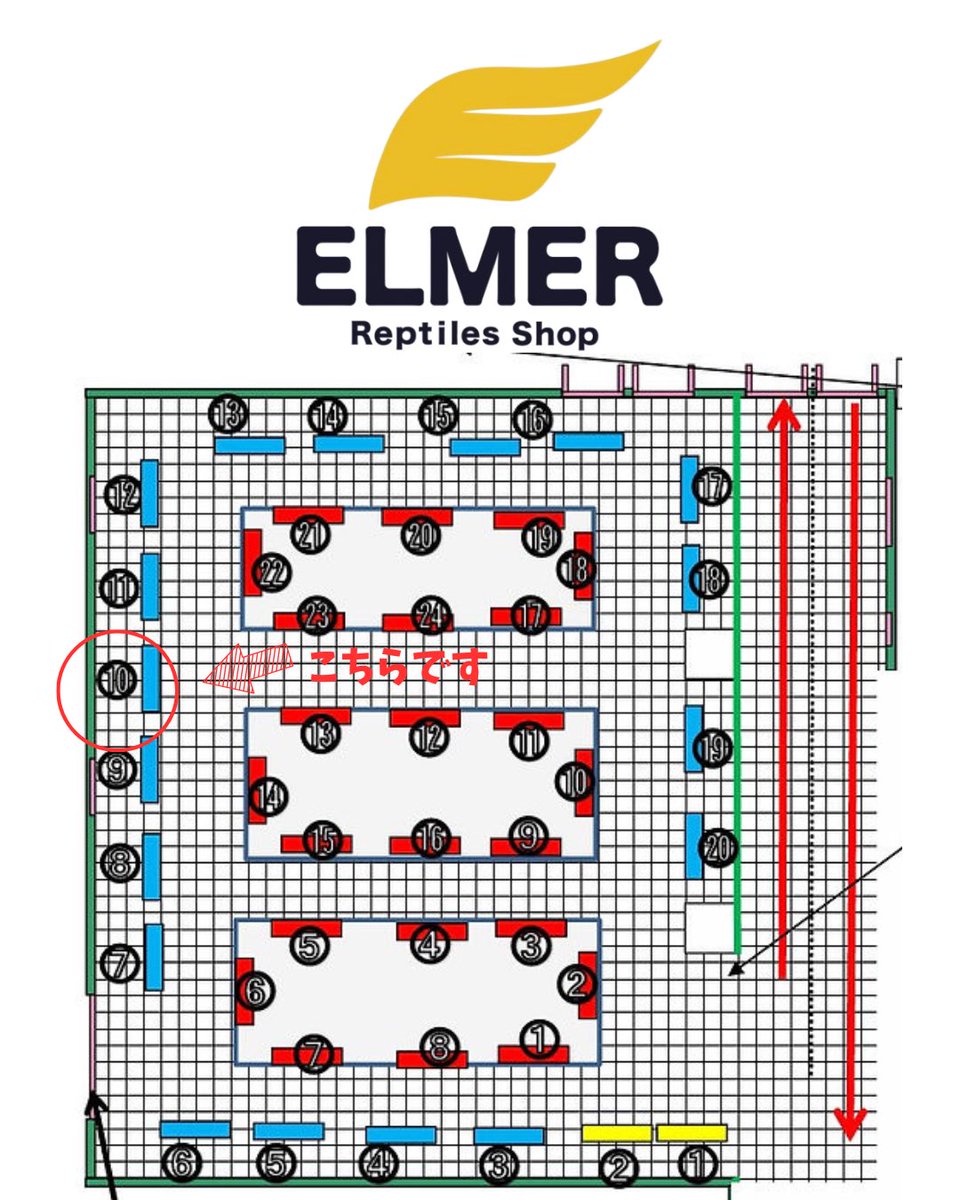 ELMER l エルマー@4/26(日) JH静岡 tweet media
