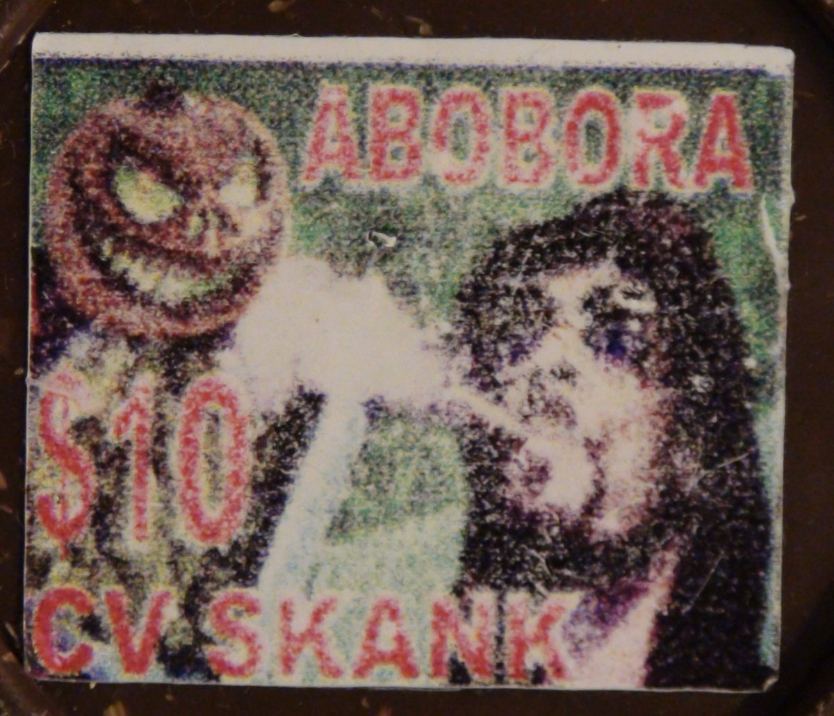 cansoverano tweet media