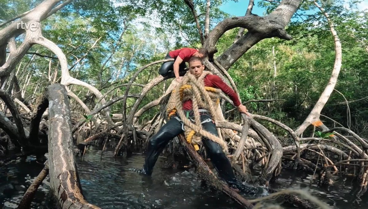 Daniel Pérez tweet media