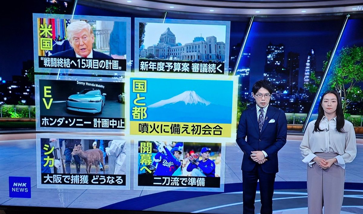 波士顿圆脸 Boston Round Face tweet media