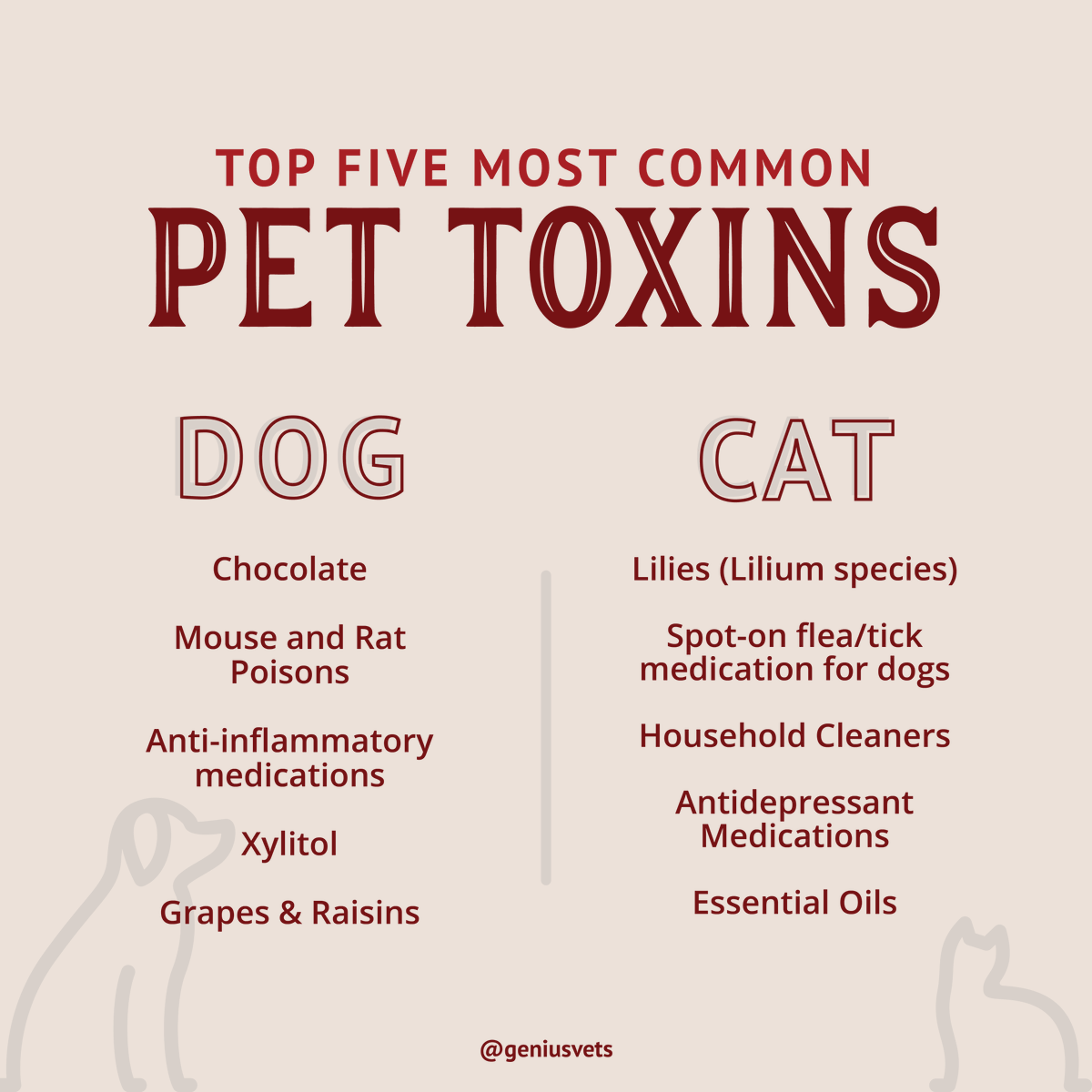 Healthy_Animals's tweet photo. Do you know the common toxins that can harm your pet? If in doubt call us! https://t.co/rwtHYfMWaA