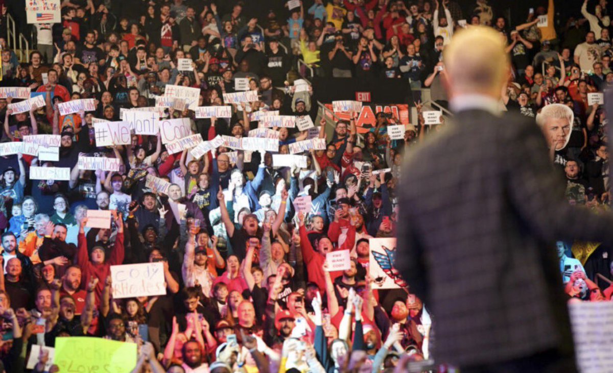 sara 🍒 tweet media