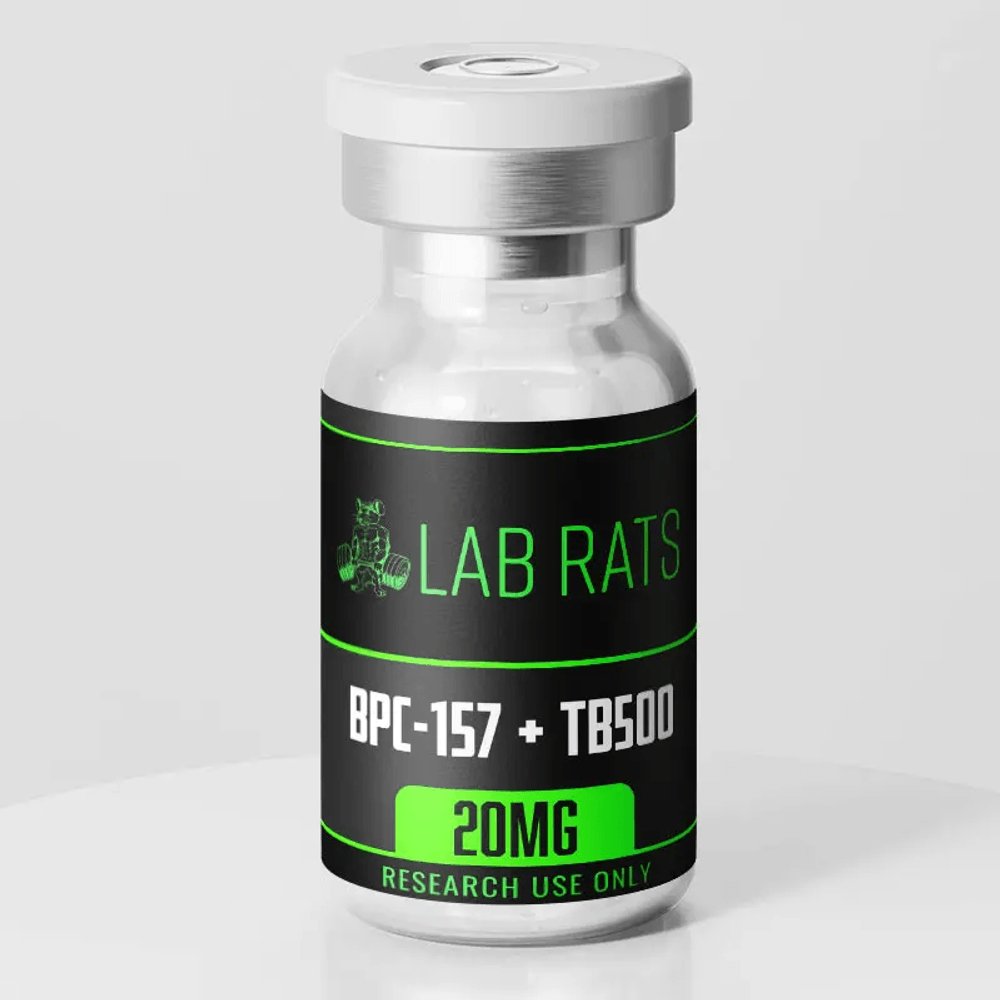 KING_OF_BATTLE 🇺🇸⚔️ tweet media