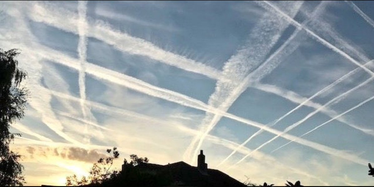 Galactic Zoo tweet media