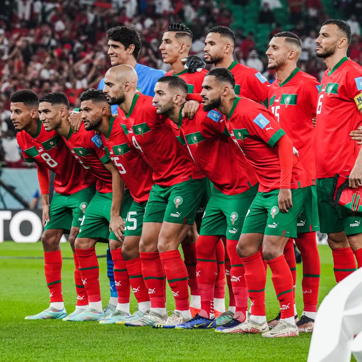 Dr. StranAlì 🇮🇹🇪🇬🇸🇾 tweet media