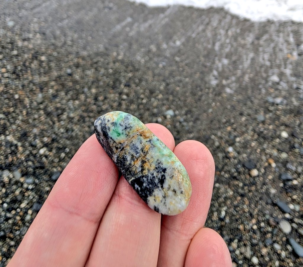 Shirainu tweet media