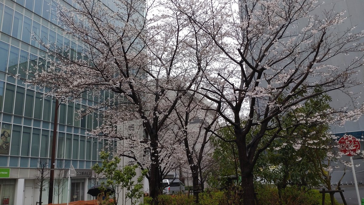 雨の木曜日☔
髪切って気分だけでもさっぱりしましょ✂
本日も宜しくお願い致します。
#おはようございます #調布 #理容室 #床屋 #予約詳細はHPより #LINE予約  #夕方枠延長中