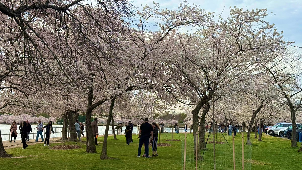 Alcholio tweet media