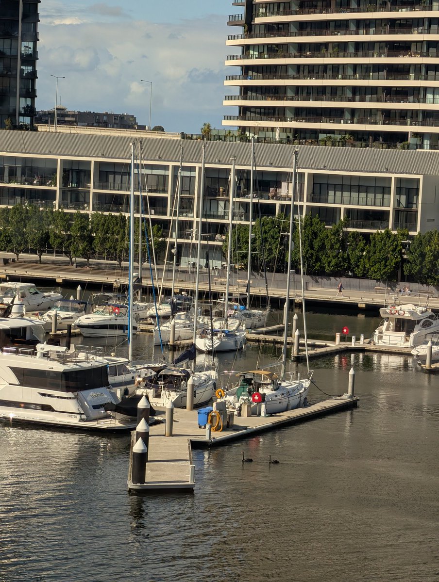 Daddy Pig tweet media