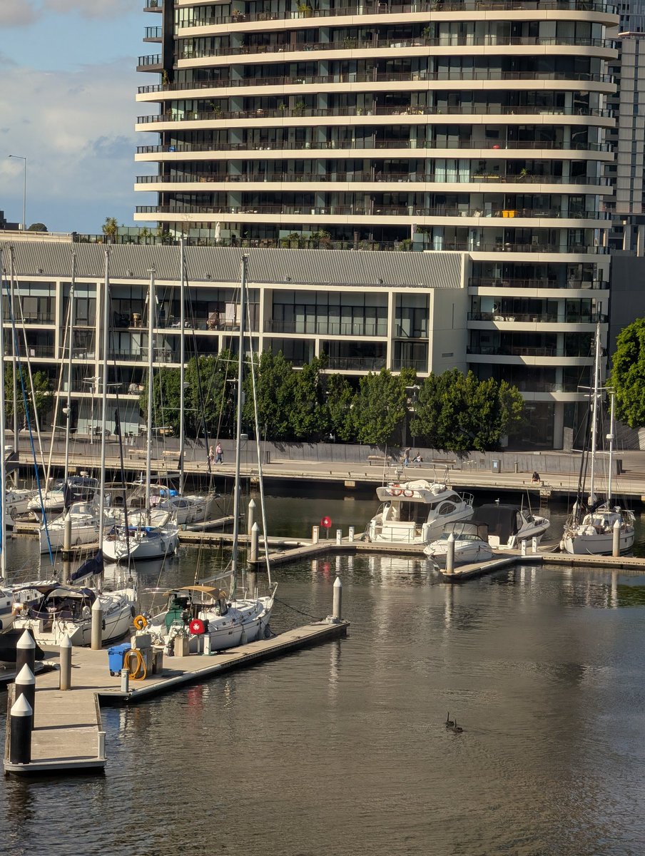 Daddy Pig tweet media