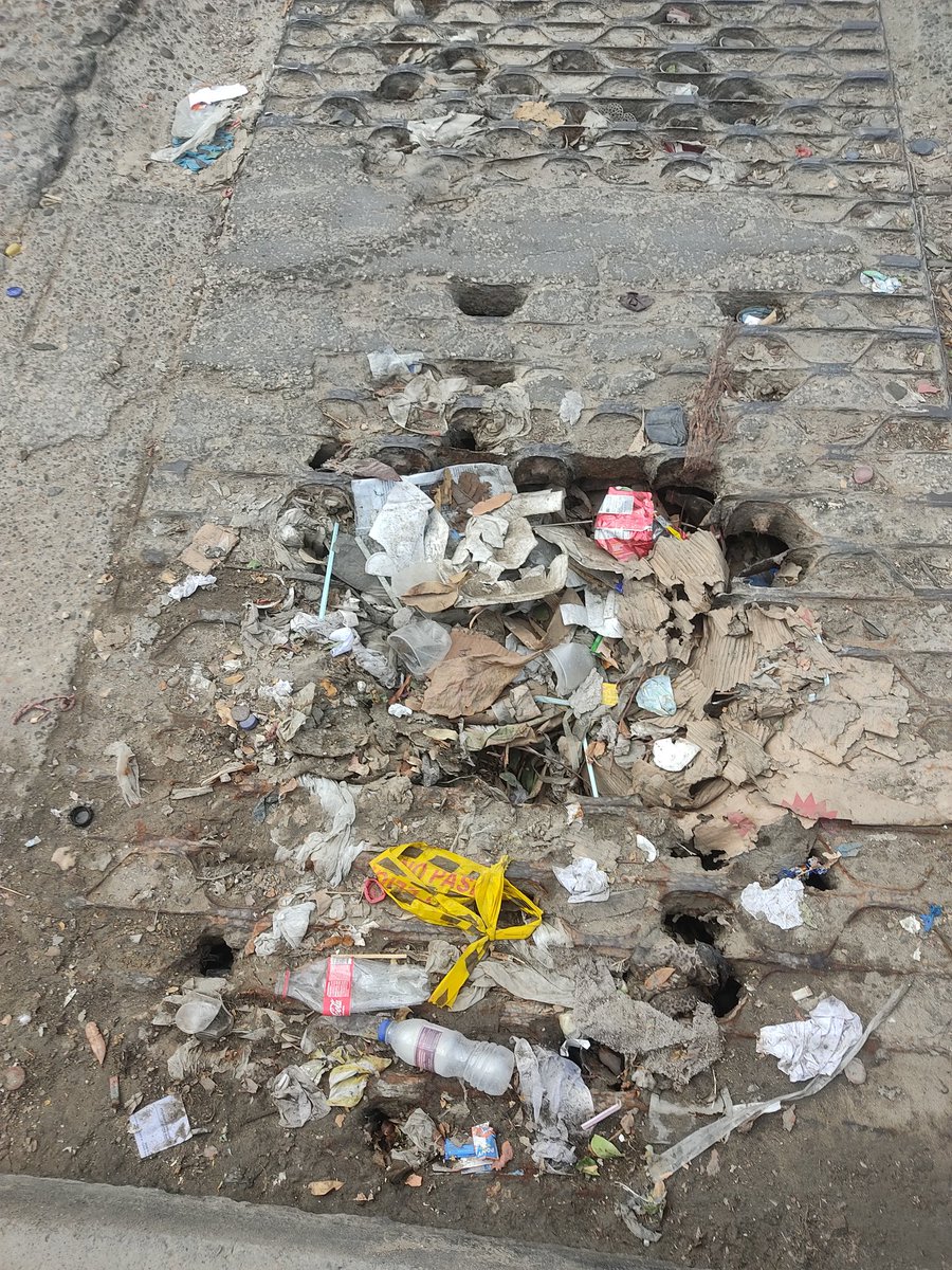 GUARDIANESDELACIUDAD,DECARTAGENADEINDIAS tweet media