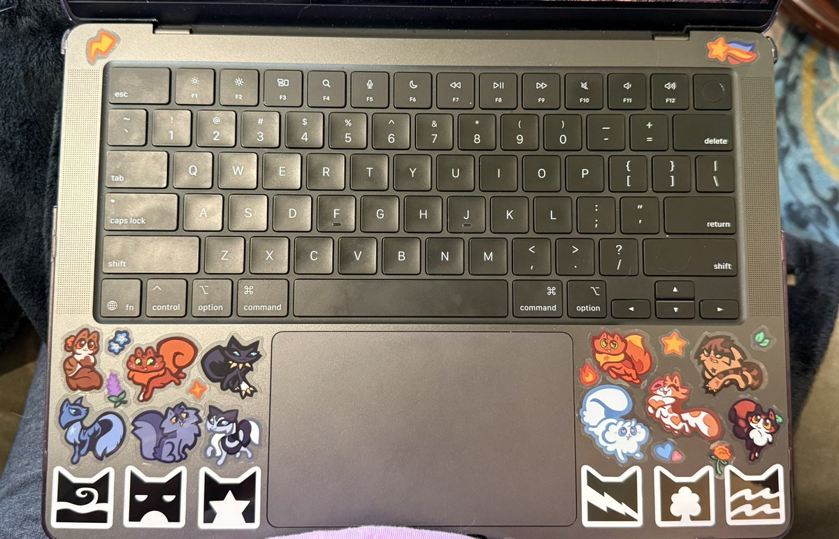 Bailey 🧚🏼‍♀️ tweet media