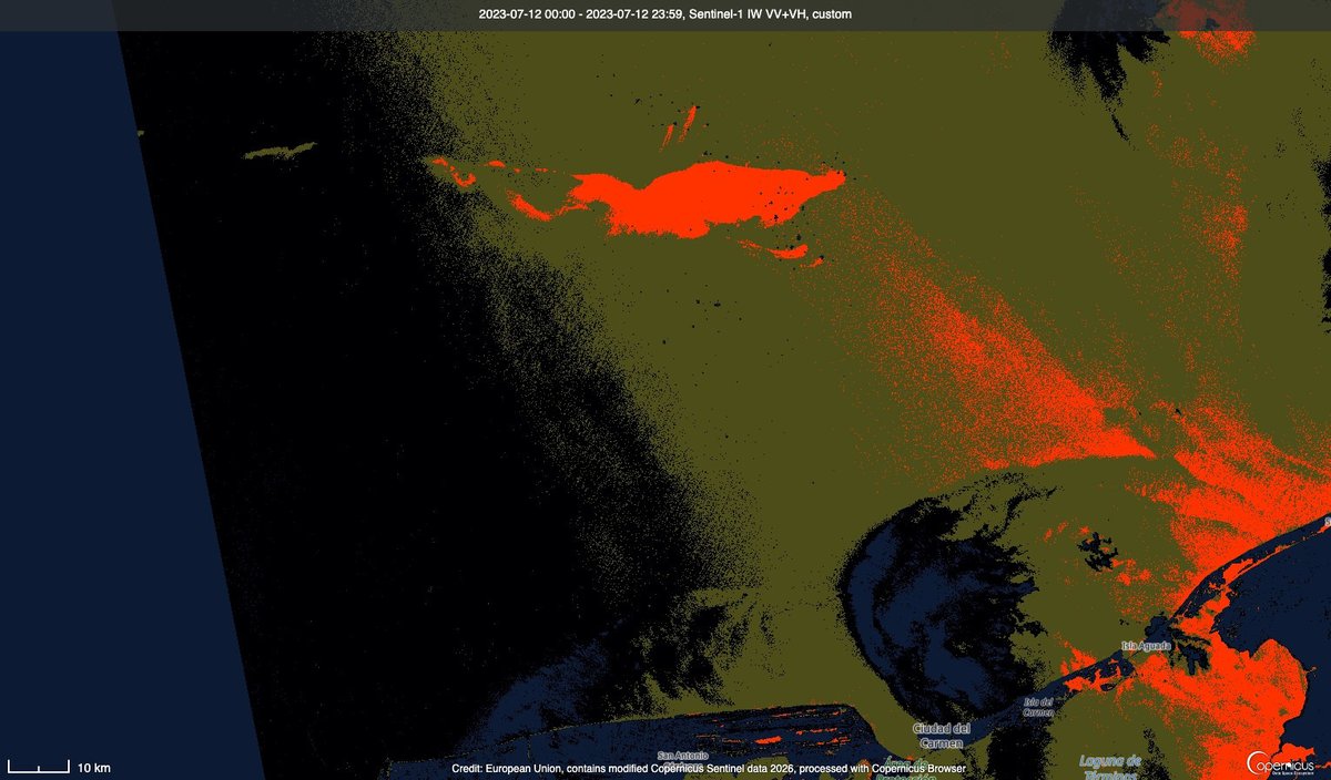 Pandita rojo 🐳 tweet media