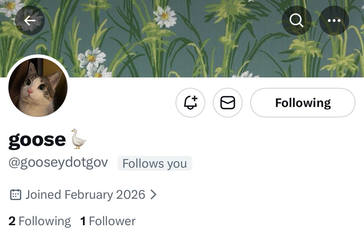 𝓳𝓳 😇💓✨ tweet media