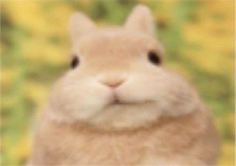 rain !! ⊹ ࣪ ˖ tweet media