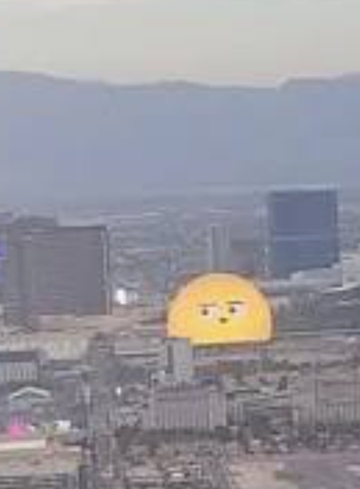 Dusty Bumps tweet media