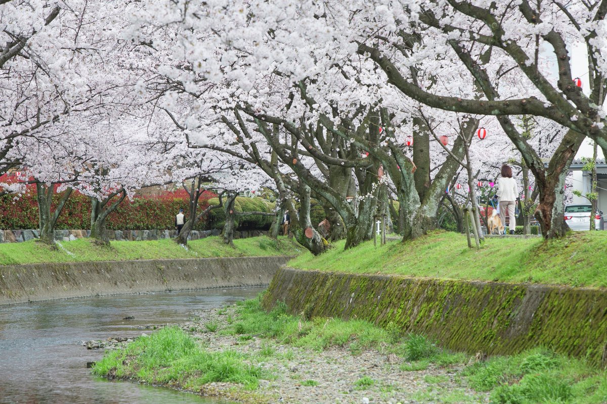 まっぷる編集部【公式】 tweet media