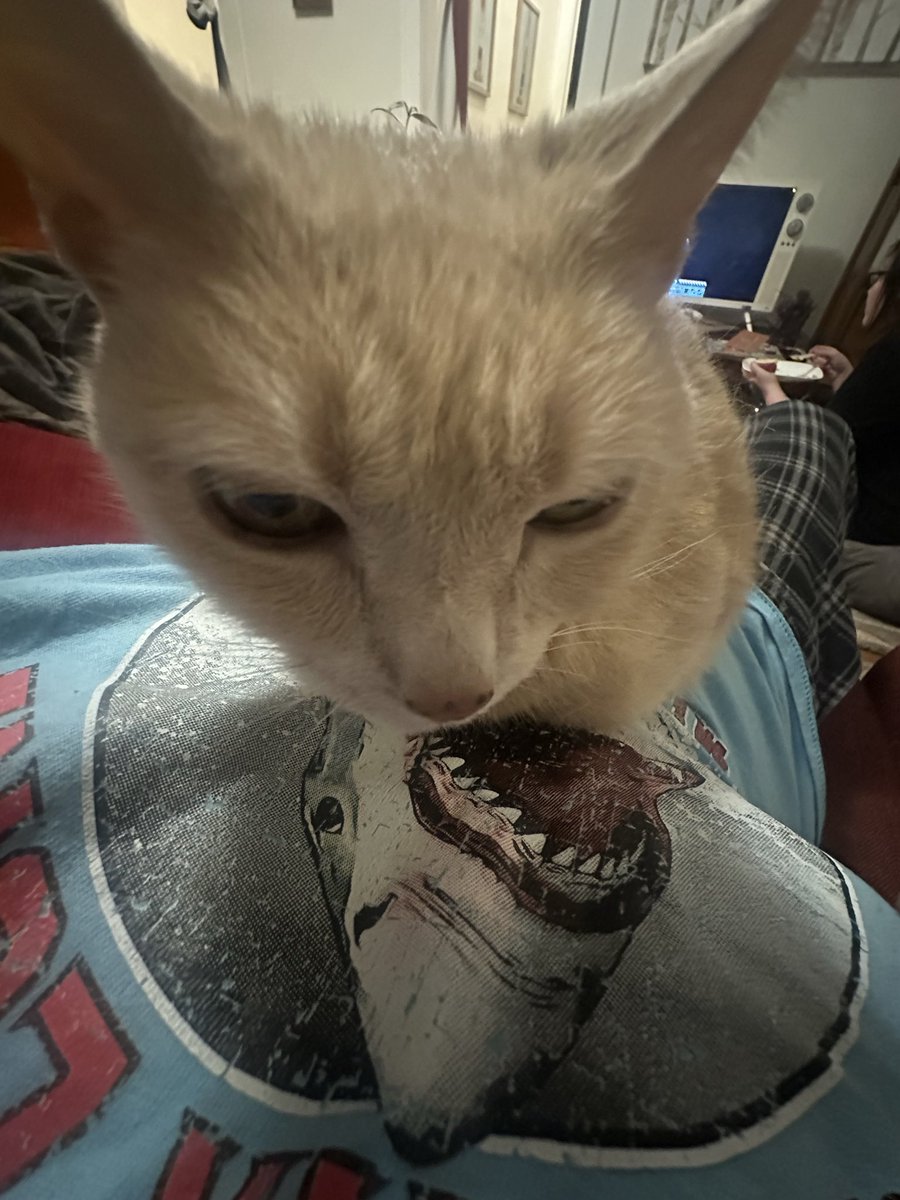 NoirPhilosopher's tweet photo. NO! SUNFLOWER WATCH OUT! THERES A SHARK NOOOOOOOOO. ITS EATING YOU NOoOoOOoOoo :[ https://t.co/vFFfmQywPl
