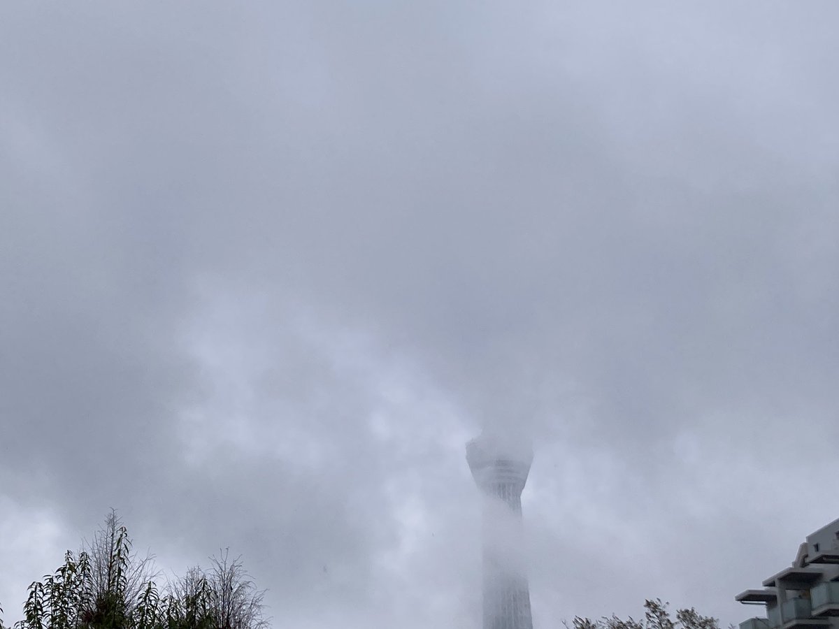 サクサクサンカクサンタ tweet media