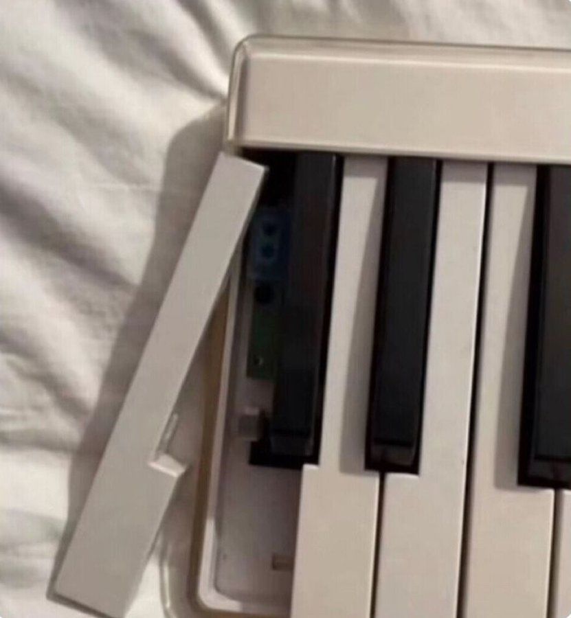 dinosaur tweet media