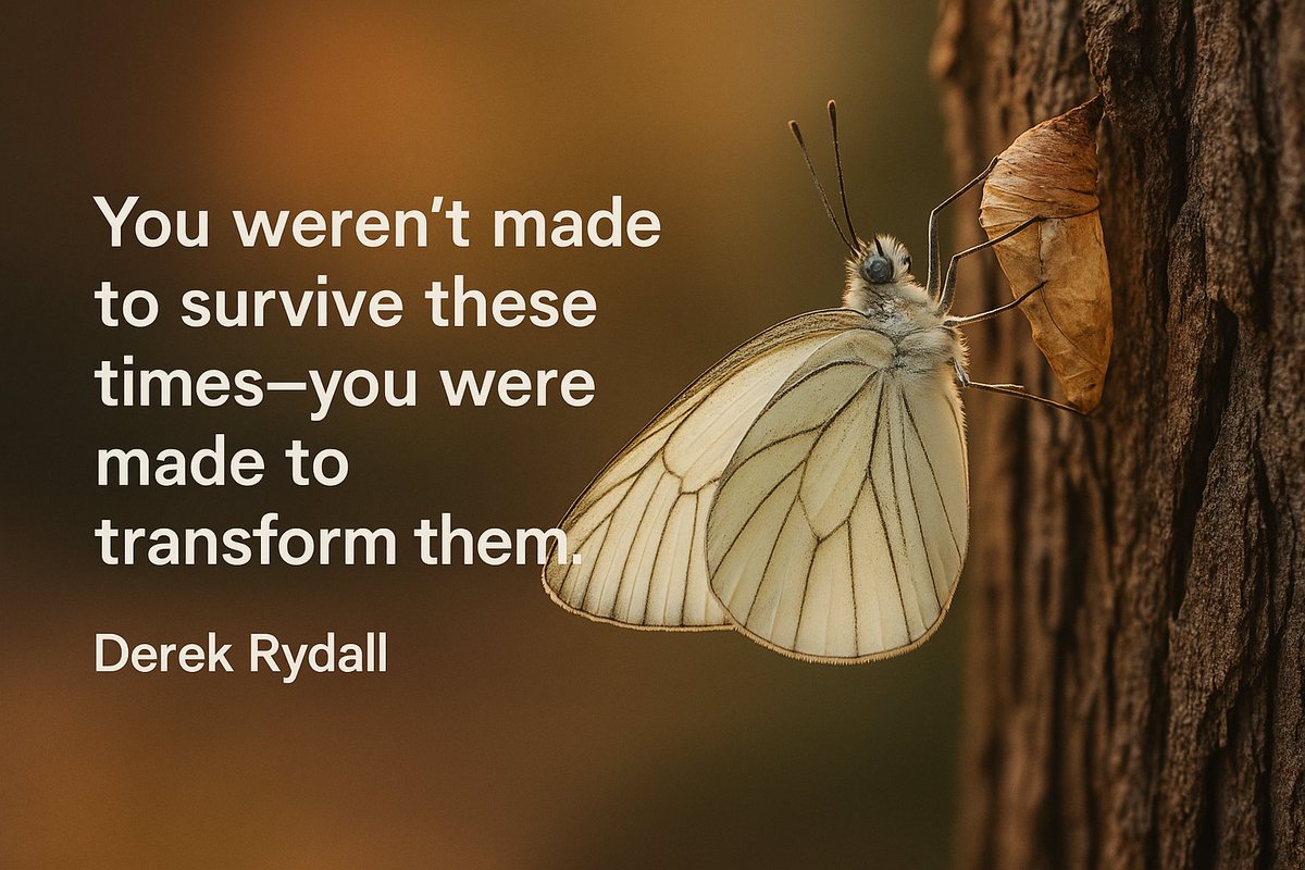 derek rydall tweet media