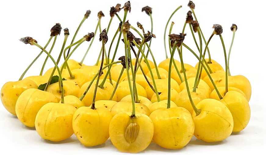 Count Biffa tweet media