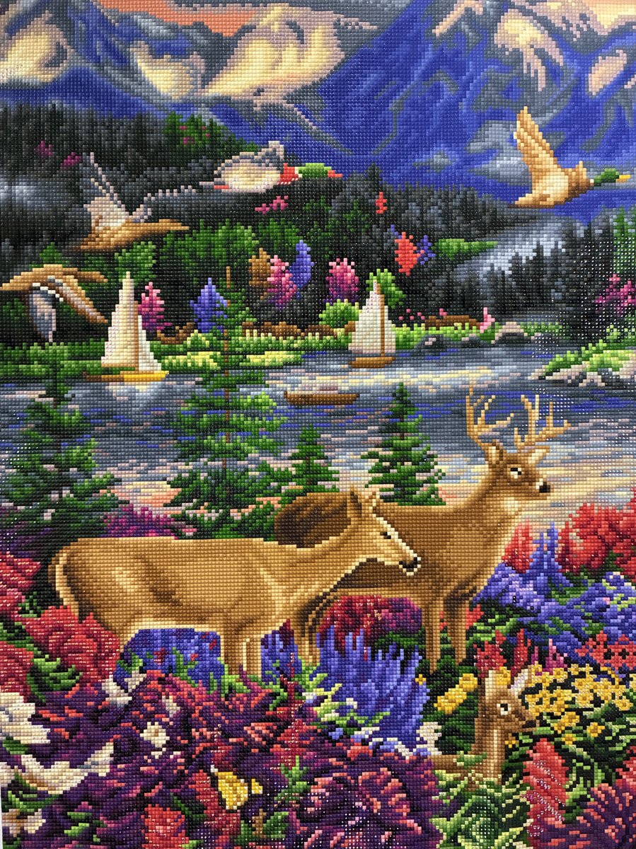 ひこにゃん tweet media